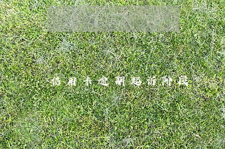 信用卡逾期起诉阶段