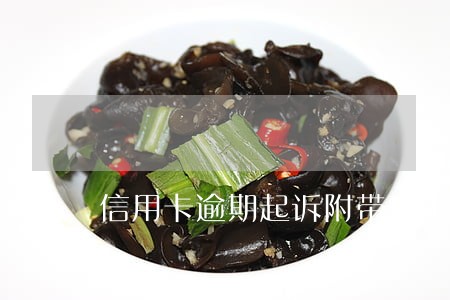 信用卡逾期起诉附带刑事 信用卡逾期起诉附带刑事