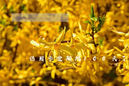 信用卡逾期超100天了 信用卡逾期超100天了