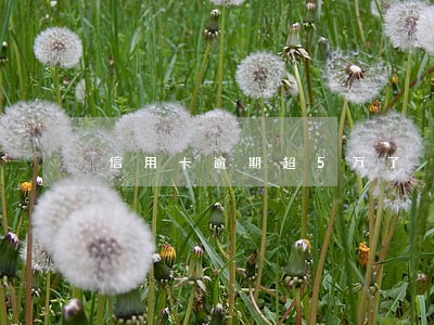 信用卡逾期超5万了 信用卡逾期超5万了