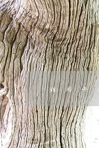 信用卡逾期超5万怎么免除刑罚 信用卡逾期超5万怎么免除刑罚