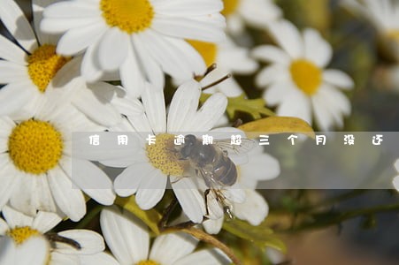 信用卡逾期超三个月没还过钱 信用卡逾期超三个月没还过钱