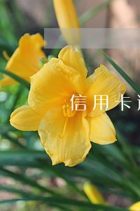 信用卡逾期超五万上门核实情况 信用卡逾期超五万上门核实情况