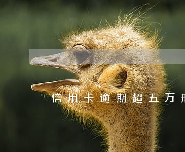 信用卡逾期超五万刑法 信用卡逾期超五万刑法