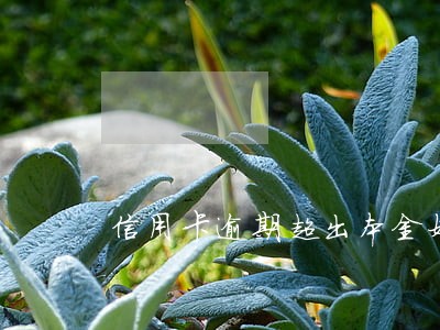 信用卡逾期超出本金好多倍 信用卡逾期超出本金好多倍