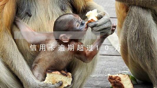 信用卡逾期超过10万 信用卡逾期超过10万