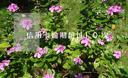 信用卡逾期超过10次 信用卡逾期超过10次