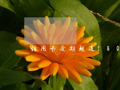 信用卡逾期超过180天6 信用卡逾期超过180天6