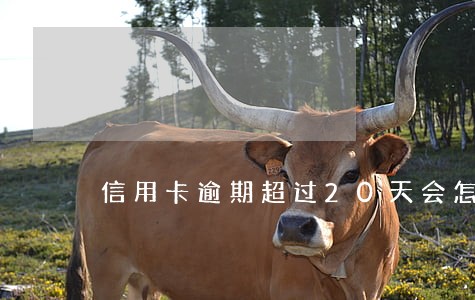信用卡逾期超过20天会怎样