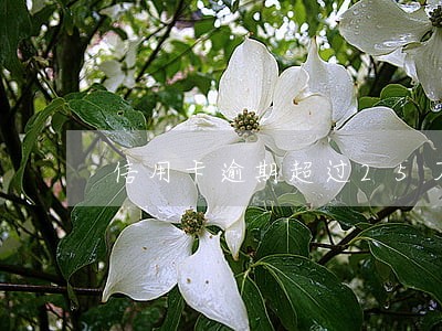 信用卡逾期超过25万 信用卡逾期超过25万