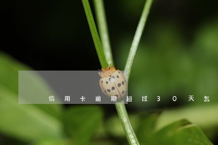 信用卡逾期超过30天怎么办 信用卡逾期超过30天怎么办