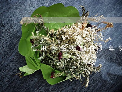 信用卡逾期超过3年贷款 信用卡逾期超过3年贷款