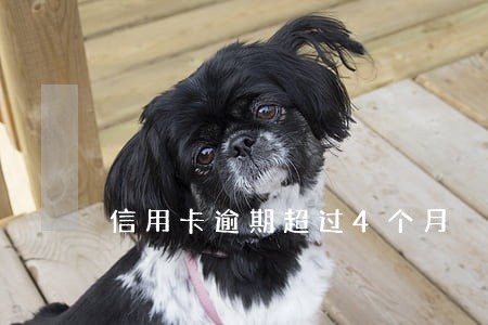 信用卡逾期超过4个月