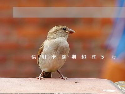 信用卡逾期超过5万