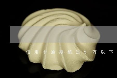 信用卡逾期超过5万以下