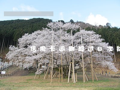 信用卡逾期超过8次能房贷吗 信用卡逾期超过8次能房贷吗