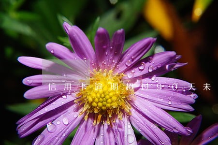 信用卡逾期超过90天未还 信用卡逾期超过90天未还