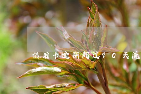 信用卡逾期超过90天流程 信用卡逾期超过90天流程