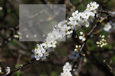 信用卡逾期超过90天还掉后 信用卡逾期超过90天还掉后