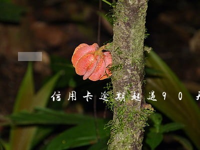 信用卡逾期超过90天还能贷款