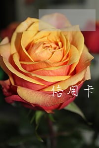 信用卡逾期超过90天销户了 信用卡逾期超过90天销户了