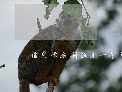信用卡逾期超过一个月 信用卡逾期超过一个月