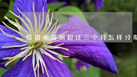 信用卡逾期超过三个月怎样分期 信用卡逾期超过三个月怎样分期