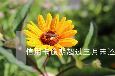 信用卡逾期超过三月未还款 信用卡逾期超过三月未还款