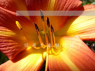 信用卡逾期超过下个账单日