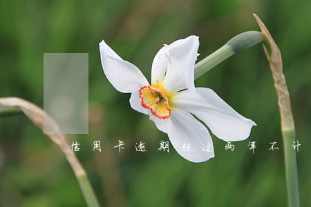 信用卡逾期超过两年不计息费