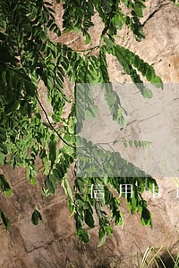 信用卡逾期超过五万会被起诉吗