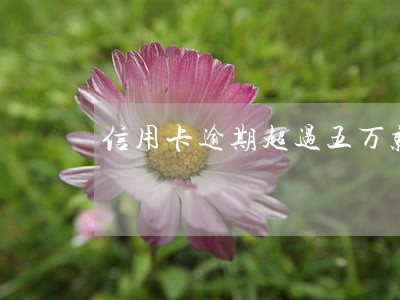 信用卡逾期超过五万就是刑事吗 信用卡逾期超过五万就是刑事吗