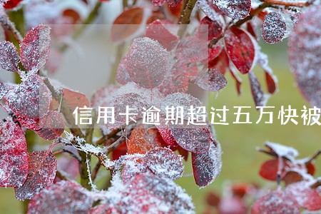 信用卡逾期超过五万快被起诉了 信用卡逾期超过五万快被起诉了