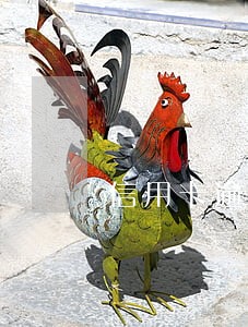 信用卡逾期超过五万怎么办 信用卡逾期超过五万怎么办