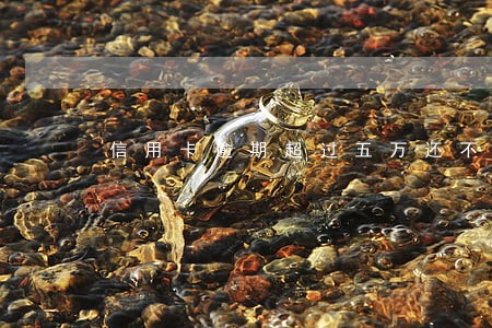 信用卡逾期超过五万还不上 信用卡逾期超过五万还不上
