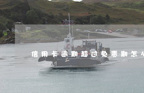 信用卡逾期超过免责期怎么办