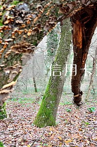信用卡逾期超过几年不能诉讼 信用卡逾期超过几年不能诉讼