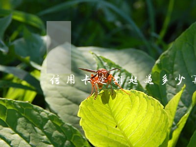 信用卡逾期超过多少算犯罪 信用卡逾期超过多少算犯罪