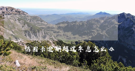 信用卡逾期超过年息怎么办 信用卡逾期超过年息怎么办
