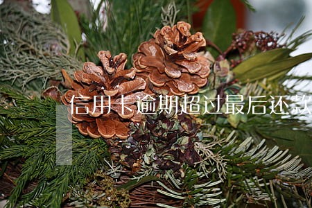 信用卡逾期超过最后还款日 信用卡逾期超过最后还款日