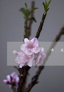 信用卡逾期超过超过5个月 信用卡逾期超过超过5个月