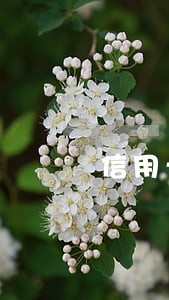 信用卡逾期超过额度
