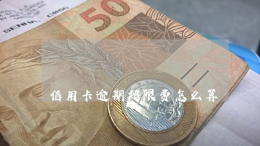 信用卡逾期超限费怎么算 信用卡逾期超限费怎么算