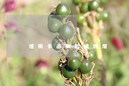 信用卡逾期超限额度 信用卡逾期超限额度