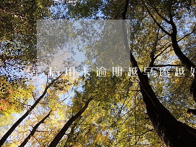 信用卡逾期越早还越好吗 信用卡逾期越早还越好吗