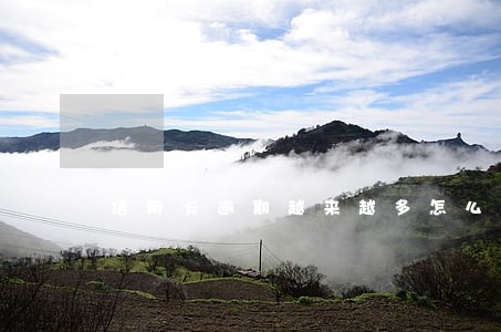信用卡逾期越来越多怎么办啊 信用卡逾期越来越多怎么办啊
