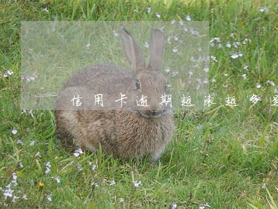 信用卡逾期越滚越多是怎么回事 信用卡逾期越滚越多是怎么回事