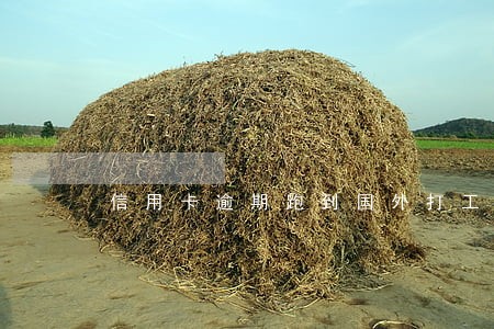 信用卡逾期跑到国外打工 信用卡逾期跑到国外打工