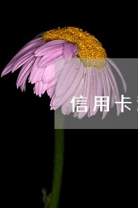 信用卡逾期跑到新疆