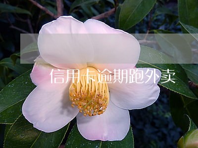 信用卡逾期跑外卖